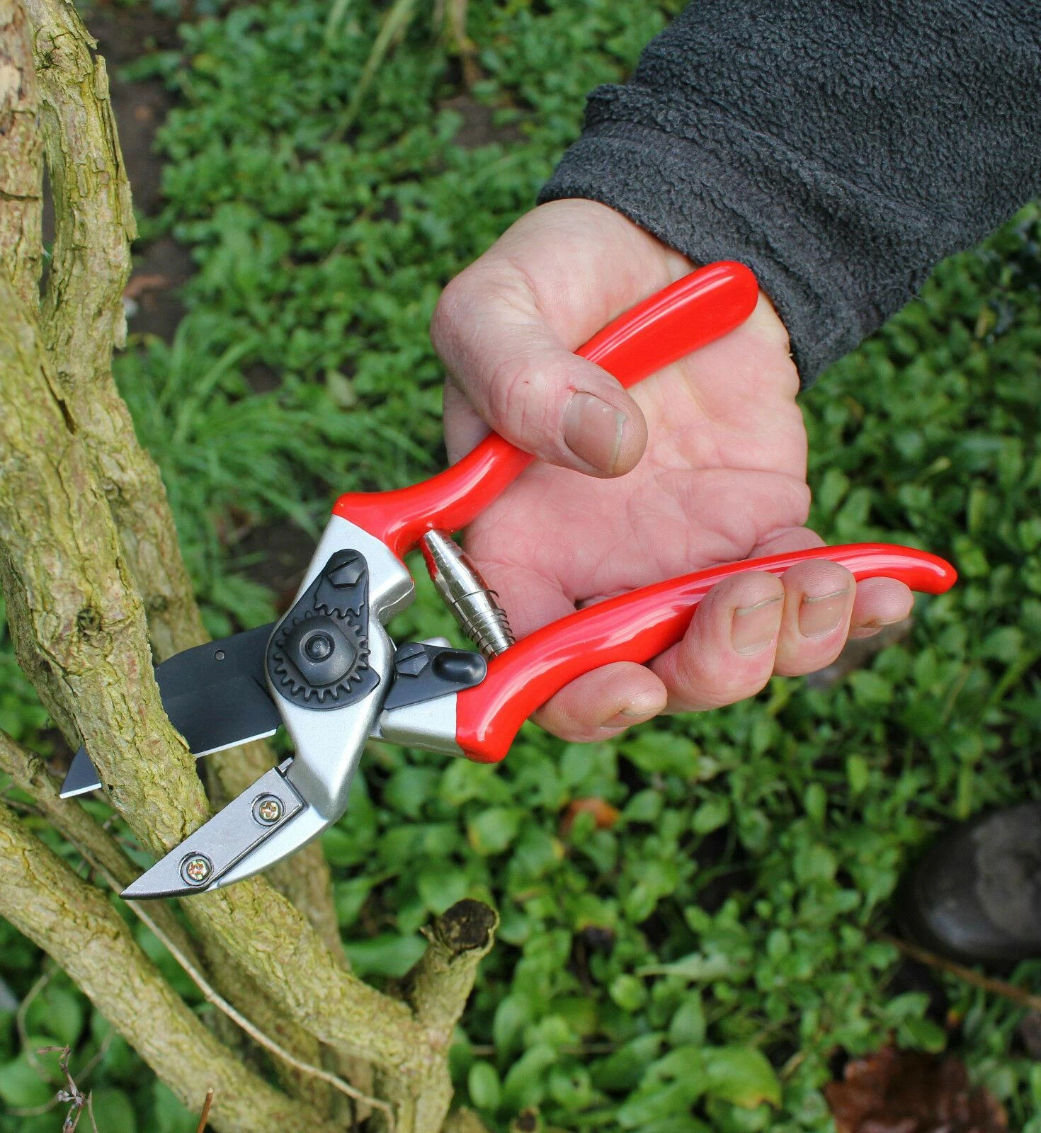 Darlac Expert Heavy Duty Anvil Pruner DP1035 - Image 2