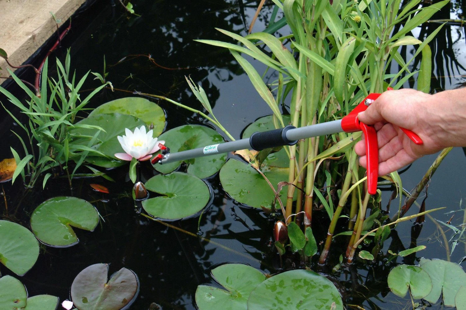 Darlac Snapper Long Reach Pruner DP110-650 - Image 3