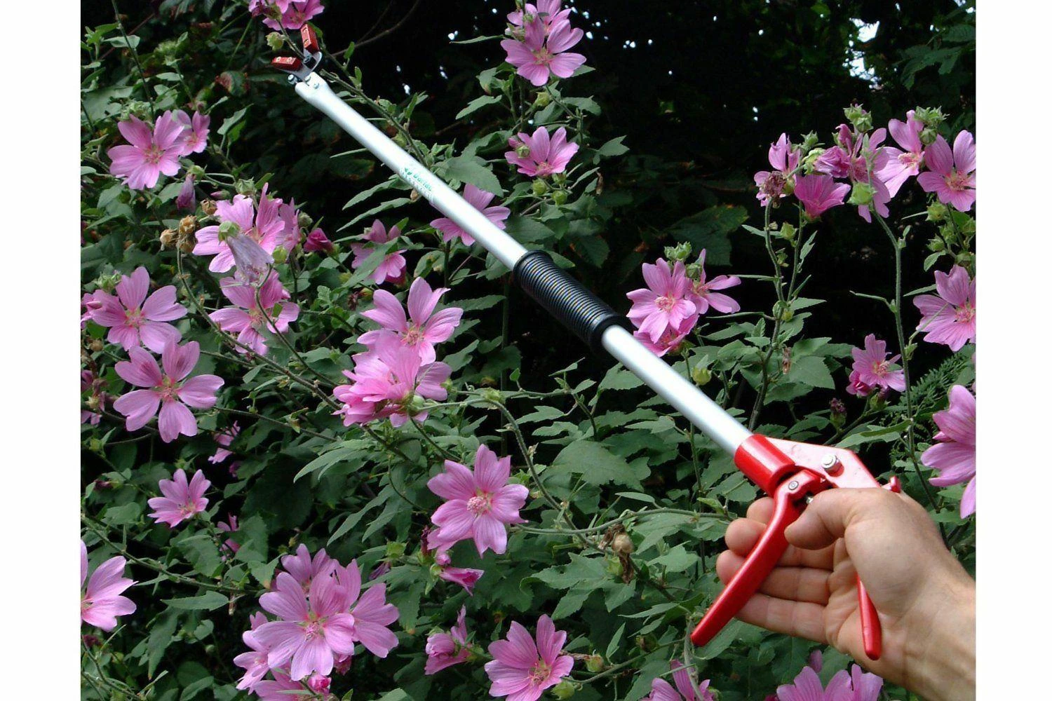 Darlac Snapper Long Reach Pruner DP110-650 - Image 6