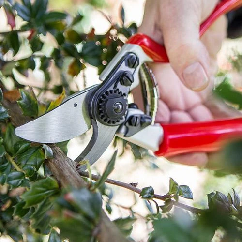 Darlac Expert Rotating Handle Pruner DP1031 - Image 3