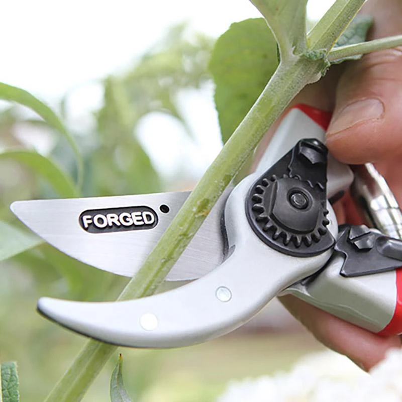 Darlac Expert Bypass Secateurs DP1036 - Image 2