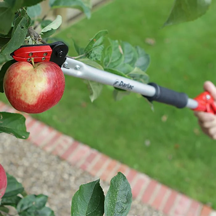 Darlac Snapper Long Reach Pruner DP110-650 - Image 5