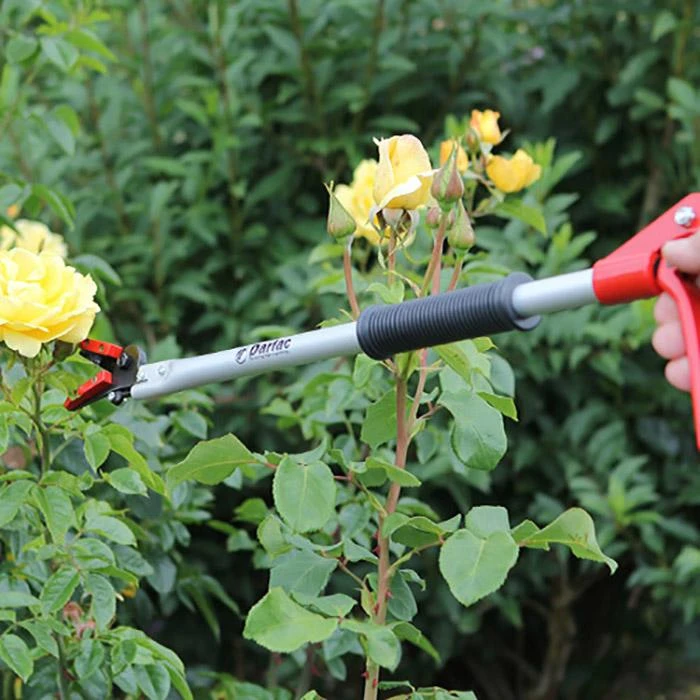 Darlac Snapper Long Reach Pruner DP110-650 - Image 2