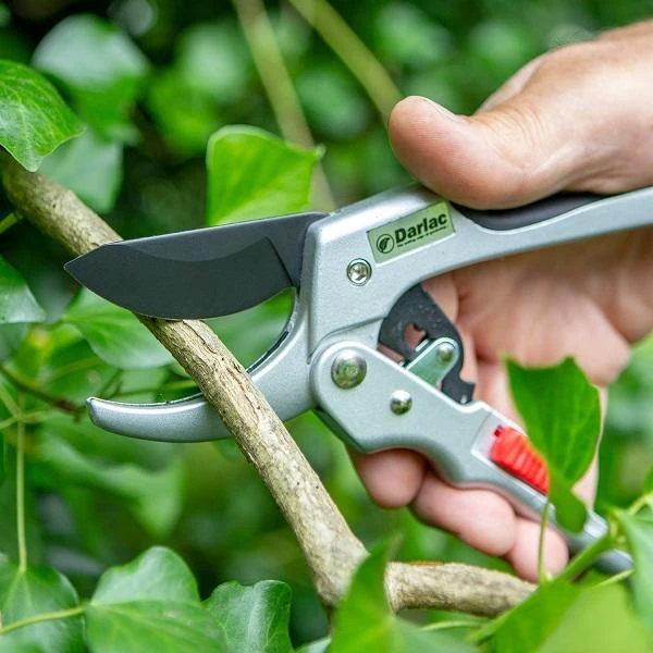Darlac Garden Classic Ratchet Pruners - DP744 - Image 2