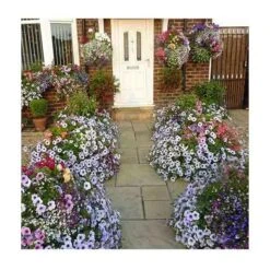 Hanging Basket Watering KIt Medium