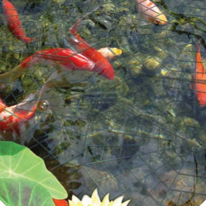 Pondxpert Pond Protector 30 Rings - Image 3